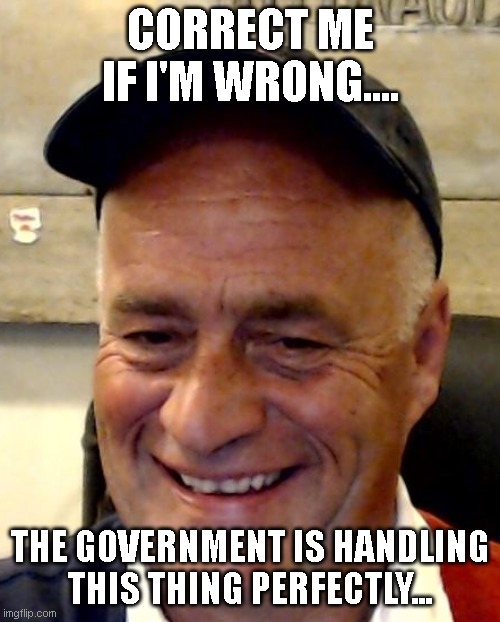 Sarcasm | CORRECT ME IF I'M WRONG.... THE GOVERNMENT IS HANDLING THIS THING PERFECTLY... | image tagged in political humor | made w/ Imgflip meme maker