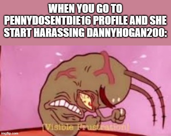 we gonna defend dannyhogan200 from her | WHEN YOU GO TO PENNYDOSENTDIE16 PROFILE AND SHE START HARASSING DANNYHOGAN200: | image tagged in visible frustration,stickdanny,penny | made w/ Imgflip meme maker