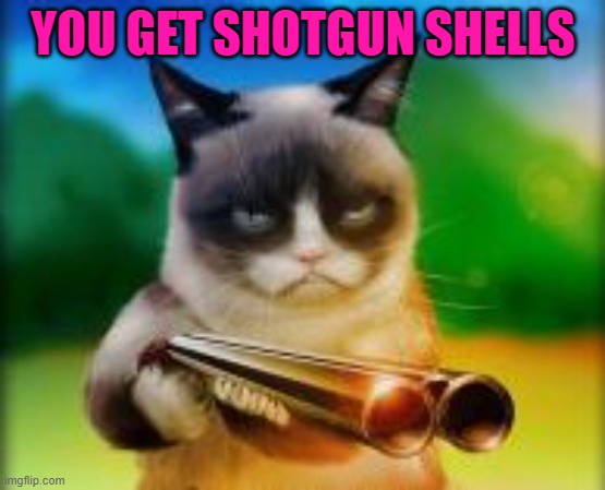 YOU GET SHOTGUN SHELLS | made w/ Imgflip meme maker