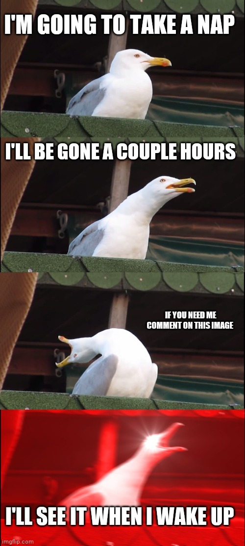 Inhaling Seagull | I'M GOING TO TAKE A NAP; I'LL BE GONE A COUPLE HOURS; IF YOU NEED ME COMMENT ON THIS IMAGE; I'LL SEE IT WHEN I WAKE UP | image tagged in memes,inhaling seagull | made w/ Imgflip meme maker