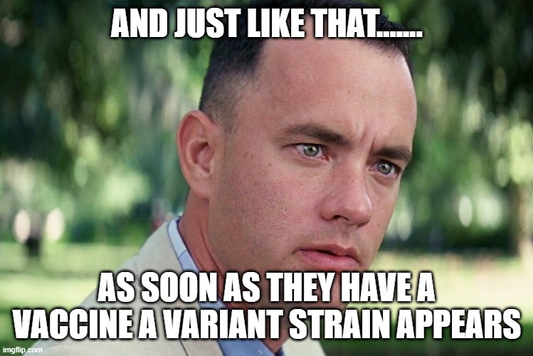 And Just Like That Meme | AND JUST LIKE THAT....... AS SOON AS THEY HAVE A VACCINE A VARIANT STRAIN APPEARS | image tagged in memes,and just like that | made w/ Imgflip meme maker
