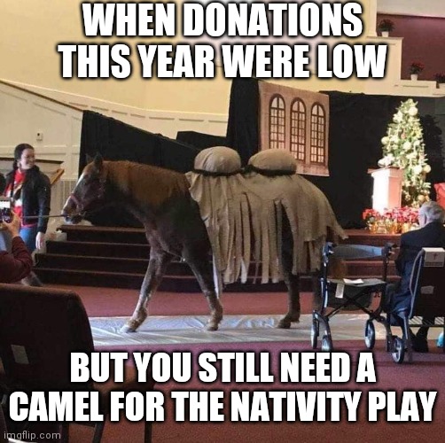 sally the camel had no humps | WHEN DONATIONS THIS YEAR WERE LOW; BUT YOU STILL NEED A CAMEL FOR THE NATIVITY PLAY | image tagged in christmas memes | made w/ Imgflip meme maker