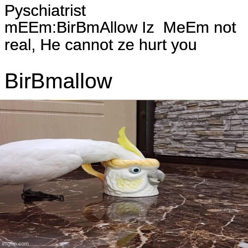 Fixtating a Cursed BirB | Pyschiatrist mEEm:BirBmAllow Iz  MeEm not real, He cannot ze hurt you; BirBmallow | image tagged in funny memes | made w/ Imgflip meme maker