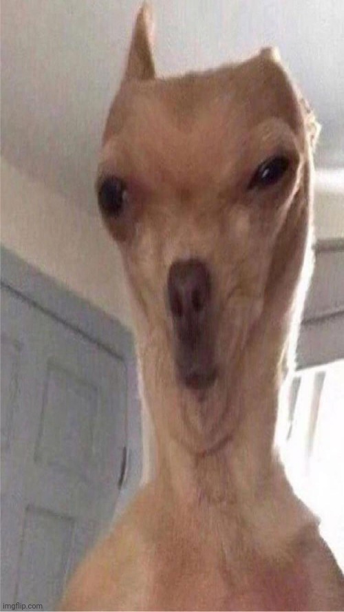 *whisper* I'm bored | image tagged in deformed doggo | made w/ Imgflip meme maker
