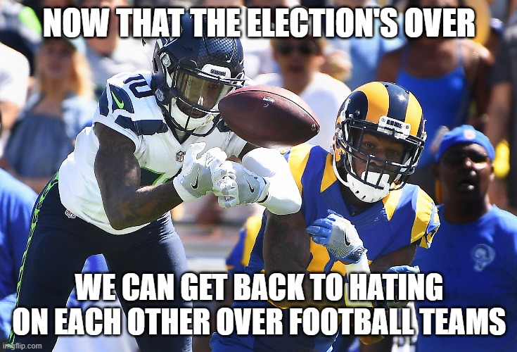  NOW THAT THE ELECTION'S OVER; WE CAN GET BACK TO HATING ON EACH OTHER OVER FOOTBALL TEAMS | image tagged in nfl football,nfl playoffs | made w/ Imgflip meme maker