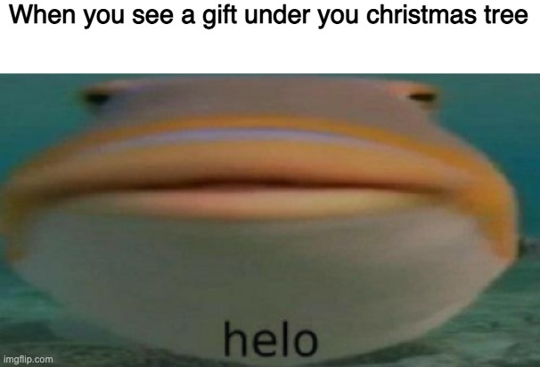 helo christmas | When you see a gift under you christmas tree | image tagged in helo,merry christmas,christmas memes,christmas presents | made w/ Imgflip meme maker