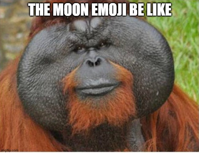 THE MOON EMOJI BE LIKE | image tagged in funny | made w/ Imgflip meme maker