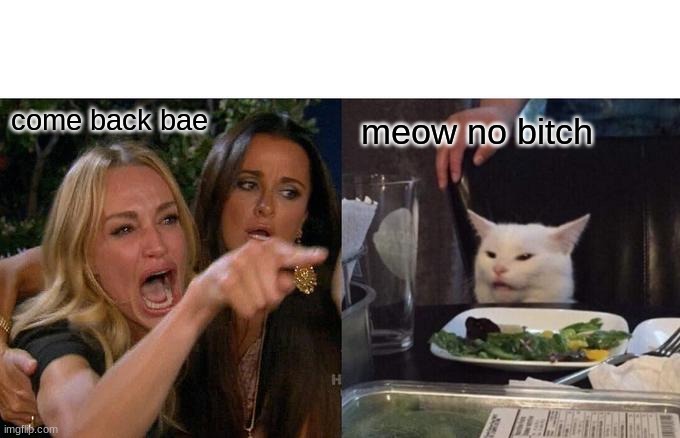 bae | come back bae; meow no bitch | image tagged in memes,woman yelling at cat | made w/ Imgflip meme maker
