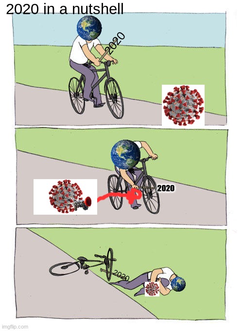 2020 in a nutshell | 2020 in a nutshell; 2020; 2020; 2020 | image tagged in memes,bike fall | made w/ Imgflip meme maker