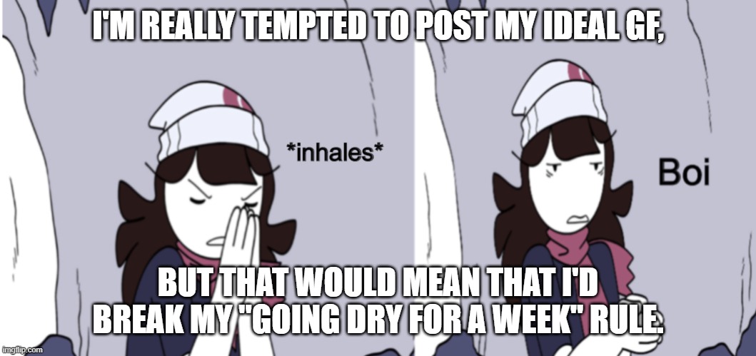 Jaiden Animations boi | I'M REALLY TEMPTED TO POST MY IDEAL GF, BUT THAT WOULD MEAN THAT I'D BREAK MY "GOING DRY FOR A WEEK" RULE. | image tagged in jaiden animations boi | made w/ Imgflip meme maker