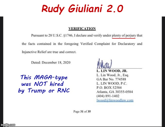 They're ADMITTING the Big Lie | Rudy Giuliani 2.0; ______; This MAGA-type
was NOT hired 
by Trump or RNC | image tagged in politics,election 2020,donald trump,rudy giuliani,rick75230 | made w/ Imgflip meme maker