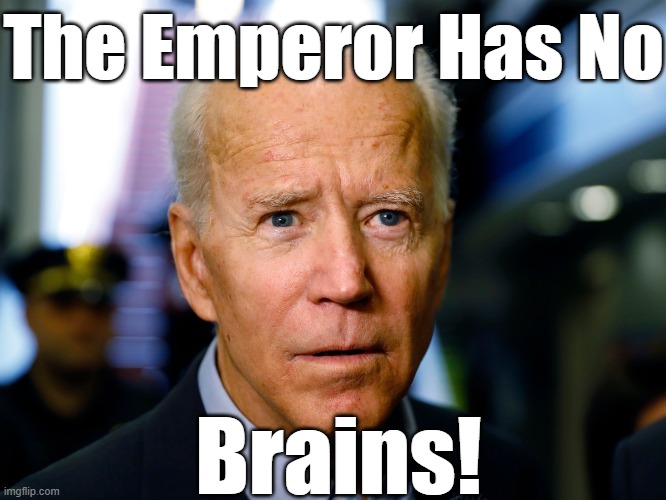 SENILE DEMENTIA IS A SERIOUS THING. | The Emperor Has No; Brains! | image tagged in joe biden,fried brain,shared the coke with hunter | made w/ Imgflip meme maker