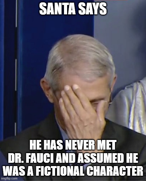Dr Fauci | SANTA SAYS; HE HAS NEVER MET DR. FAUCI AND ASSUMED HE WAS A FICTIONAL CHARACTER | image tagged in dr fauci | made w/ Imgflip meme maker