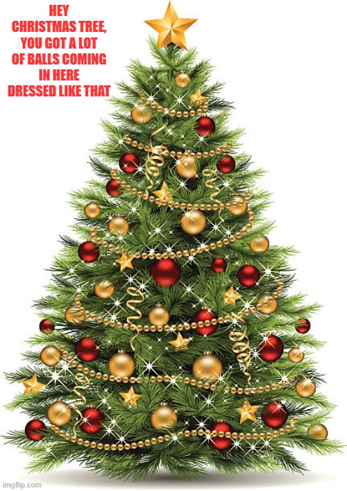 Christmas Tree | HEY CHRISTMAS TREE, YOU GOT A LOT OF BALLS COMING IN HERE DRESSED LIKE THAT | image tagged in christmas tree | made w/ Imgflip meme maker