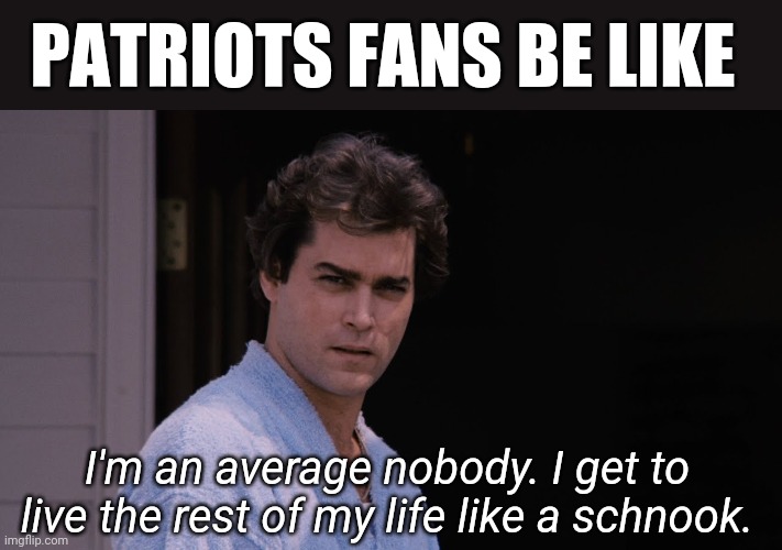Patriots | PATRIOTS FANS BE LIKE; I'm an average nobody. I get to live the rest of my life like a schnook. | image tagged in new england patriots | made w/ Imgflip meme maker