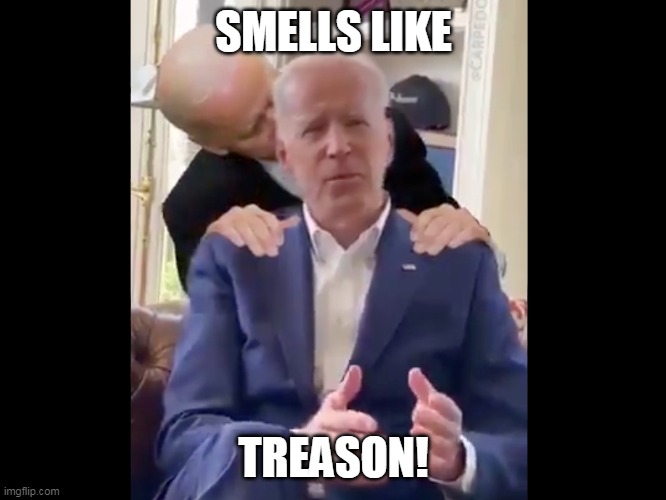 Biden smelling Biden | SMELLS LIKE; TREASON! | image tagged in biden smelling biden | made w/ Imgflip meme maker