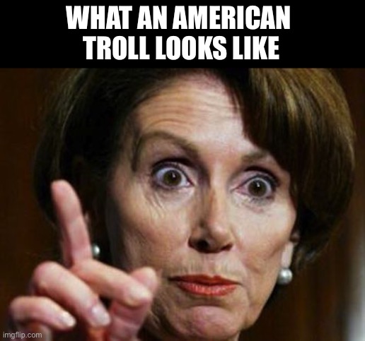 Nancy Pelosi No Spending Problem | WHAT AN AMERICAN 
TROLL LOOKS LIKE | image tagged in nancy pelosi no spending problem | made w/ Imgflip meme maker