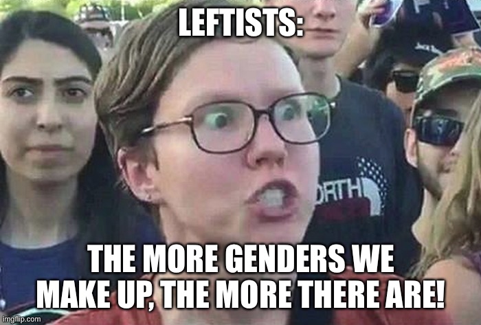 Triggered Liberal | LEFTISTS: THE MORE GENDERS WE MAKE UP, THE MORE THERE ARE! | image tagged in triggered liberal | made w/ Imgflip meme maker