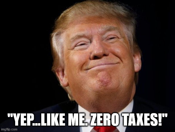 Trump smug | "YEP...LIKE ME. ZERO TAXES!" | image tagged in trump smug | made w/ Imgflip meme maker