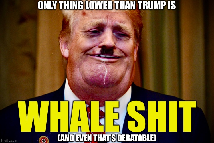 Trump is lower than whale shit | ONLY THING LOWER THAN TRUMP IS; WHALE SHIT; (AND EVEN THAT’S DEBATABLE) | image tagged in donald trump,trump,treason | made w/ Imgflip meme maker