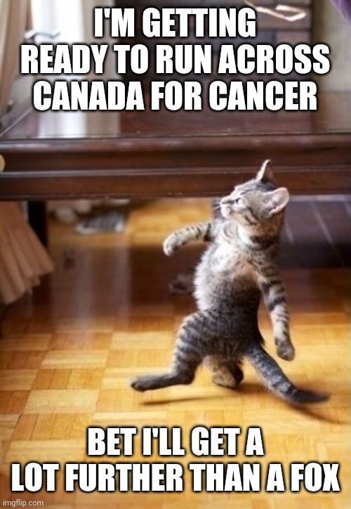 Cool Cat Stroll | I'M GETTING READY TO RUN ACROSS CANADA FOR CANCER; BET I'LL GET A LOT FURTHER THAN A FOX | image tagged in memes,cool cat stroll | made w/ Imgflip meme maker