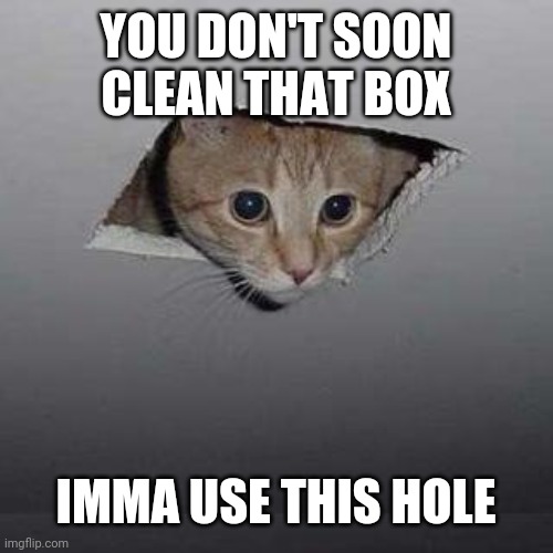 Ceiling Cat | YOU DON'T SOON CLEAN THAT BOX; IMMA USE THIS HOLE | image tagged in memes,ceiling cat | made w/ Imgflip meme maker