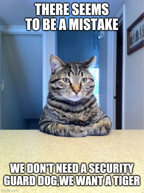 Take A Seat Cat Meme | THERE SEEMS TO BE A MISTAKE; WE DON'T NEED A SECURITY GUARD DOG,WE WANT A TIGER | image tagged in memes,take a seat cat | made w/ Imgflip meme maker