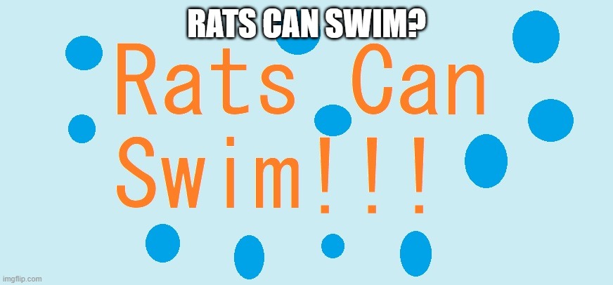 Rats Can Swim? | RATS CAN SWIM? | image tagged in rats can swim,rats,fun fact | made w/ Imgflip meme maker