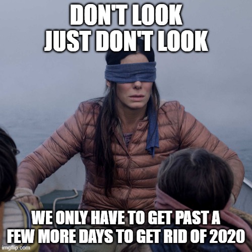 Bird Box | DON'T LOOK JUST DON'T LOOK; WE ONLY HAVE TO GET PAST A FEW MORE DAYS TO GET RID OF 2020 | image tagged in memes,bird box | made w/ Imgflip meme maker