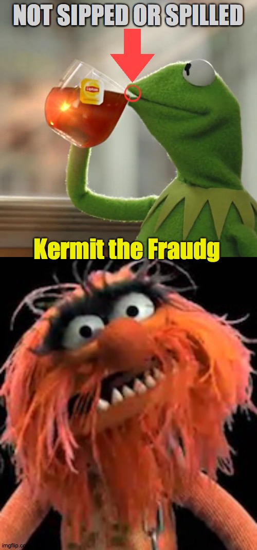 Kermit the Fraudg | NOT SIPPED OR SPILLED; Kermit the Fraudg | image tagged in fraud,tea,sip,spill,busted,animal | made w/ Imgflip meme maker