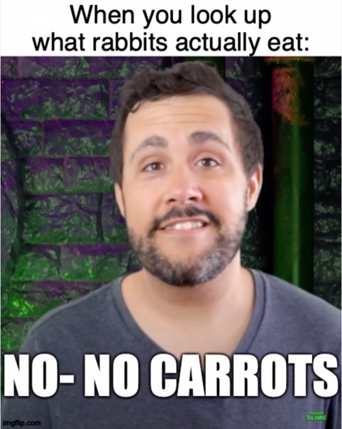 Grug Rock Belong to Grug | When you look up what rabbits actually eat:; NO- NO CARROTS; https://www.youtube.com/watch?v=NPe2RZL13Eo | image tagged in memes,rabbits,thought,slime | made w/ Imgflip meme maker