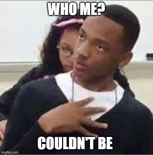 who me | WHO ME? COULDN'T BE | image tagged in who me | made w/ Imgflip meme maker