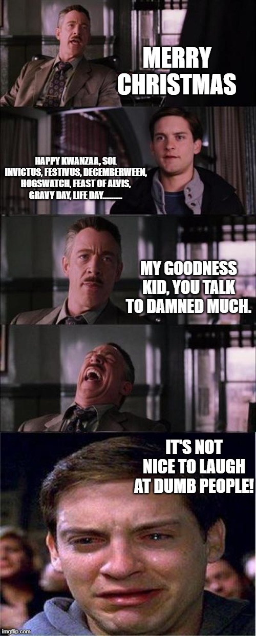 Peter Parker Cry | MERRY CHRISTMAS; HAPPY KWANZAA, SOL INVICTUS, FESTIVUS, DECEMBERWEEN, HOGSWATCH, FEAST OF ALVIS, GRAVY DAY, LIFE DAY........... MY GOODNESS KID, YOU TALK TO DAMNED MUCH. IT'S NOT NICE TO LAUGH AT DUMB PEOPLE! | image tagged in memes,peter parker cry | made w/ Imgflip meme maker
