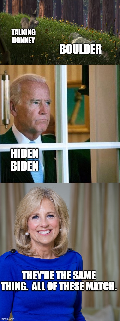 S.S.D.D. | TALKING DONKEY; BOULDER; HIDEN BIDEN; THEY'RE THE SAME THING.  ALL OF THESE MATCH. | image tagged in thats a nice boulder,sad joe biden,dr jill biden joes wife | made w/ Imgflip meme maker