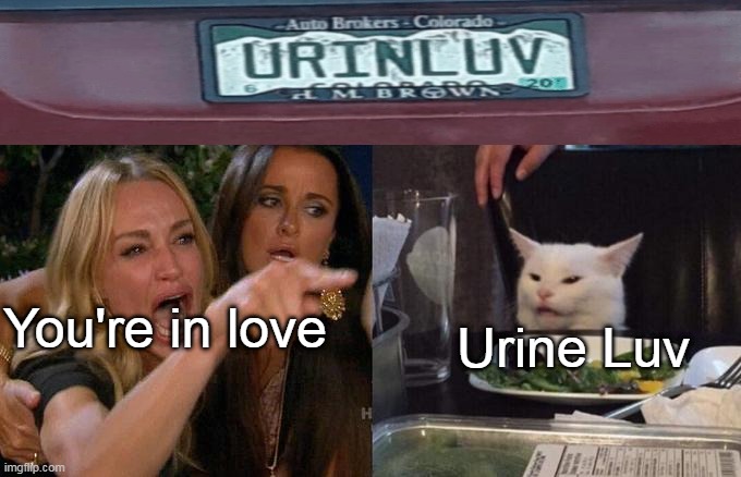 uhh.. | You're in love; Urine Luv | image tagged in memes,woman yelling at cat | made w/ Imgflip meme maker