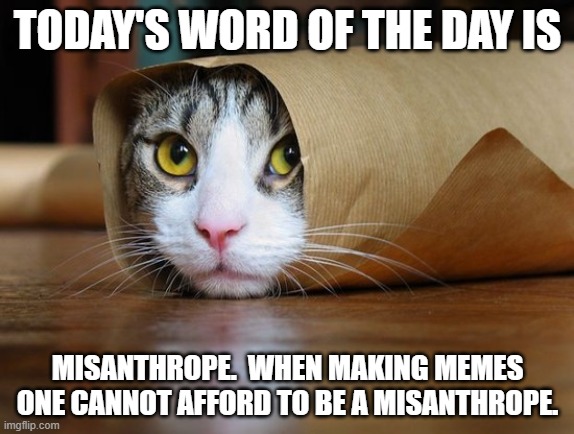 cute and funny animal pictures 6 | TODAY'S WORD OF THE DAY IS; MISANTHROPE.  WHEN MAKING MEMES ONE CANNOT AFFORD TO BE A MISANTHROPE. | image tagged in cute and funny animal pictures 6 | made w/ Imgflip meme maker