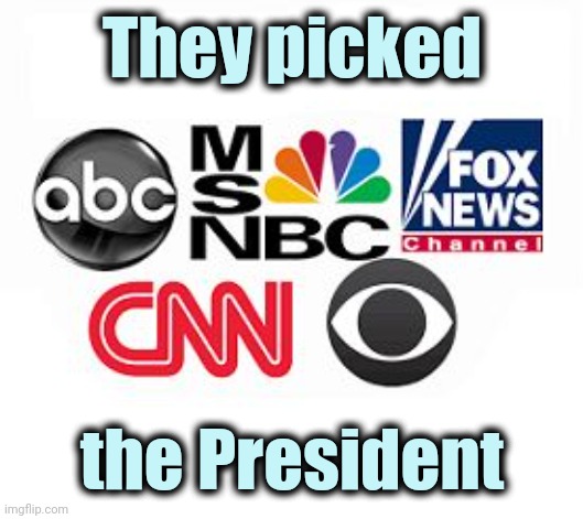 Media Lies | They picked the President | image tagged in media lies | made w/ Imgflip meme maker