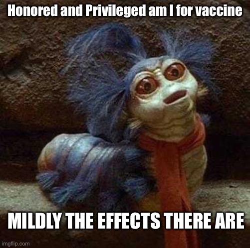 They won’t force you. Your employer will. | Honored and Privileged am I for vaccine; MILDLY THE EFFECTS THERE ARE | image tagged in coronavirus,who are you so wise in the ways of science | made w/ Imgflip meme maker