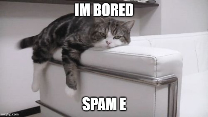 EEEEEEEEEE | IM BORED; SPAM E | image tagged in bored cat | made w/ Imgflip meme maker