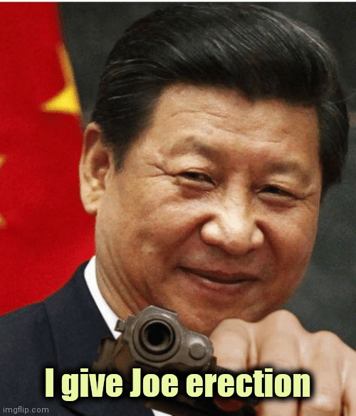 Xi Jinping | I give Joe erection | image tagged in xi jinping | made w/ Imgflip meme maker