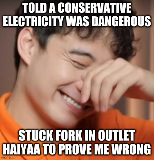 they probably need a good shock to realize they are in a cult | TOLD A CONSERVATIVE ELECTRICITY WAS DANGEROUS; STUCK FORK IN OUTLET HAIYAA TO PROVE ME WRONG | image tagged in yeah right uncle rodger,cult,rumpt,prove me wrong | made w/ Imgflip meme maker
