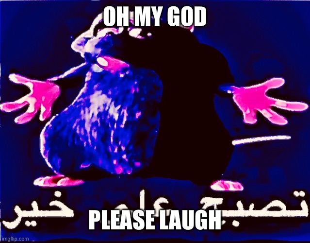 Y | OH MY GOD; PLEASE LAUGH | image tagged in y | made w/ Imgflip meme maker