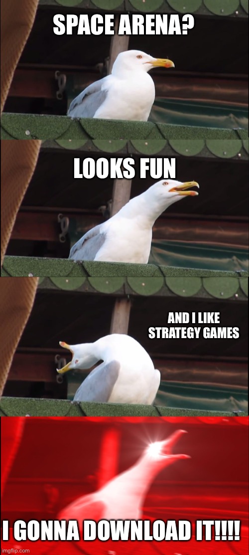 SEAGULL DOWNLOAD A GAME | SPACE ARENA? LOOKS FUN; AND I LIKE STRATEGY GAMES; I GONNA DOWNLOAD IT!!!! | image tagged in memes,inhaling seagull,video games,spaceship | made w/ Imgflip meme maker