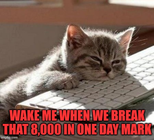 tired cat | WAKE ME WHEN WE BREAK THAT 8,000 IN ONE DAY MARK | image tagged in tired cat | made w/ Imgflip meme maker