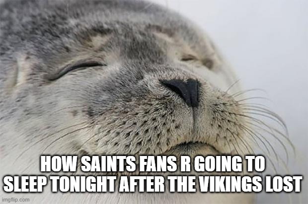Saints Fans | HOW SAINTS FANS R GOING TO SLEEP TONIGHT AFTER THE VIKINGS LOST | image tagged in memes,satisfied seal,new orleans saints | made w/ Imgflip meme maker