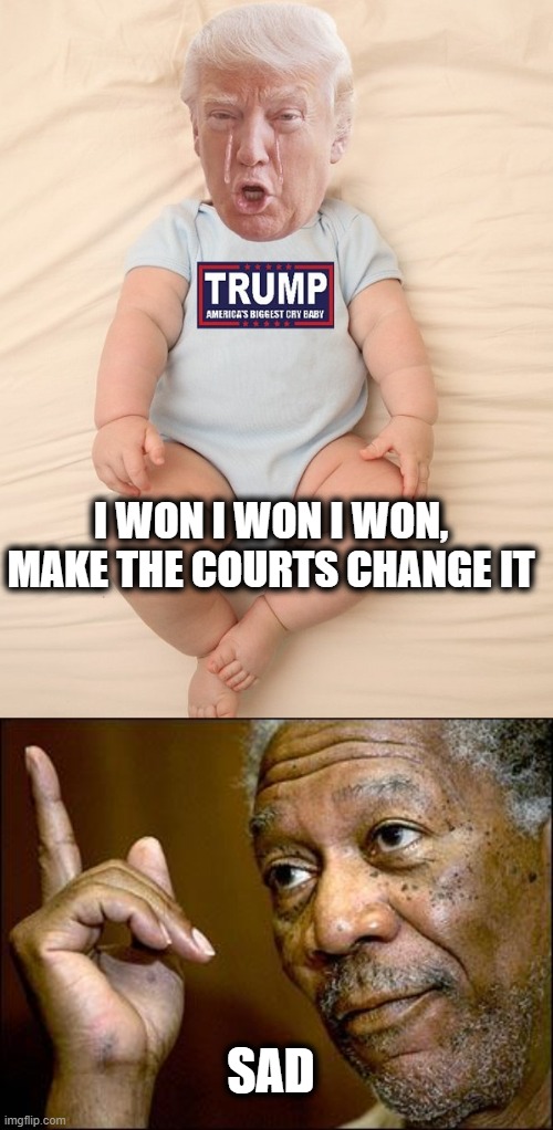Morgan Freeman is right you know. | I WON I WON I WON, MAKE THE COURTS CHANGE IT; SAD | image tagged in crying trump baby,this morgan freeman,memes,donald trump is an idiot,politics,maga | made w/ Imgflip meme maker
