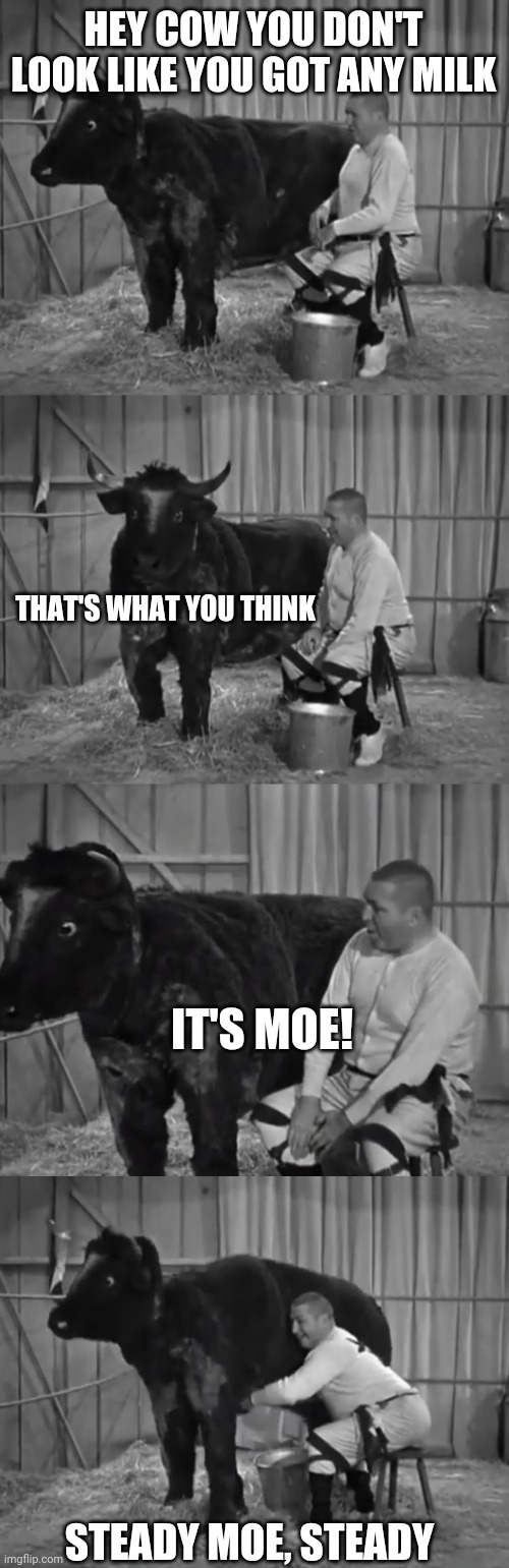 it's Moe | HEY COW YOU DON'T LOOK LIKE YOU GOT ANY MILK; THAT'S WHAT YOU THINK; IT'S MOE! STEADY MOE, STEADY | image tagged in three stooges | made w/ Imgflip meme maker