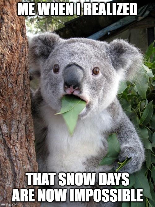 Surprised Koala | ME WHEN I REALIZED; THAT SNOW DAYS ARE NOW IMPOSSIBLE | image tagged in memes,surprised koala | made w/ Imgflip meme maker