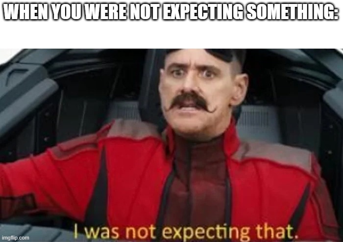 I was not expecting that | WHEN YOU WERE NOT EXPECTING SOMETHING: | image tagged in i was not expecting that | made w/ Imgflip meme maker