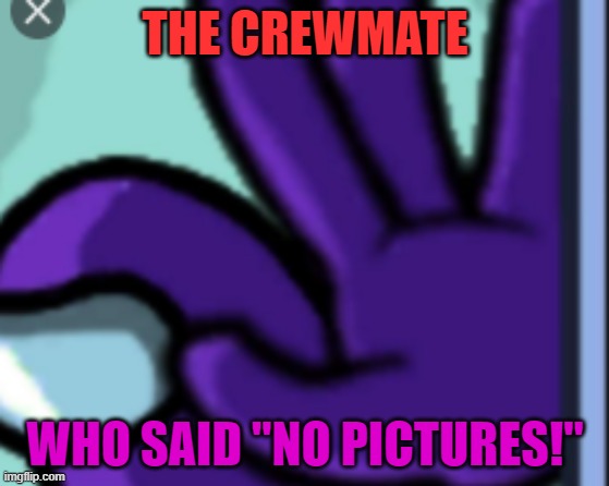 THE CREWMATE WHO SAID "NO PICTURES!" | made w/ Imgflip meme maker